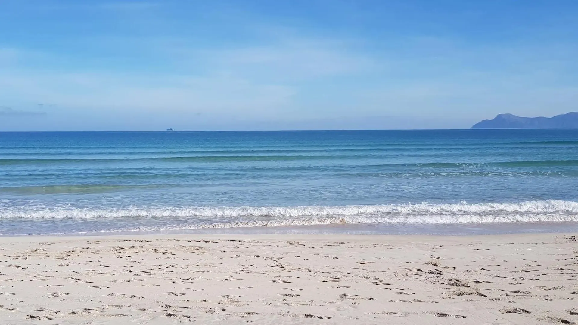 Ideal Property Mallorca - Avus Alcudia